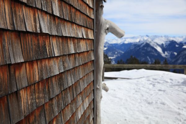 Cedar Siding Repair in Hayward