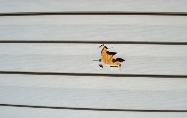 Siding Hole Patching in Hayward