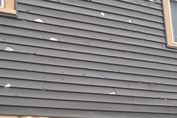 Damaged Siding Replacement in Hayward